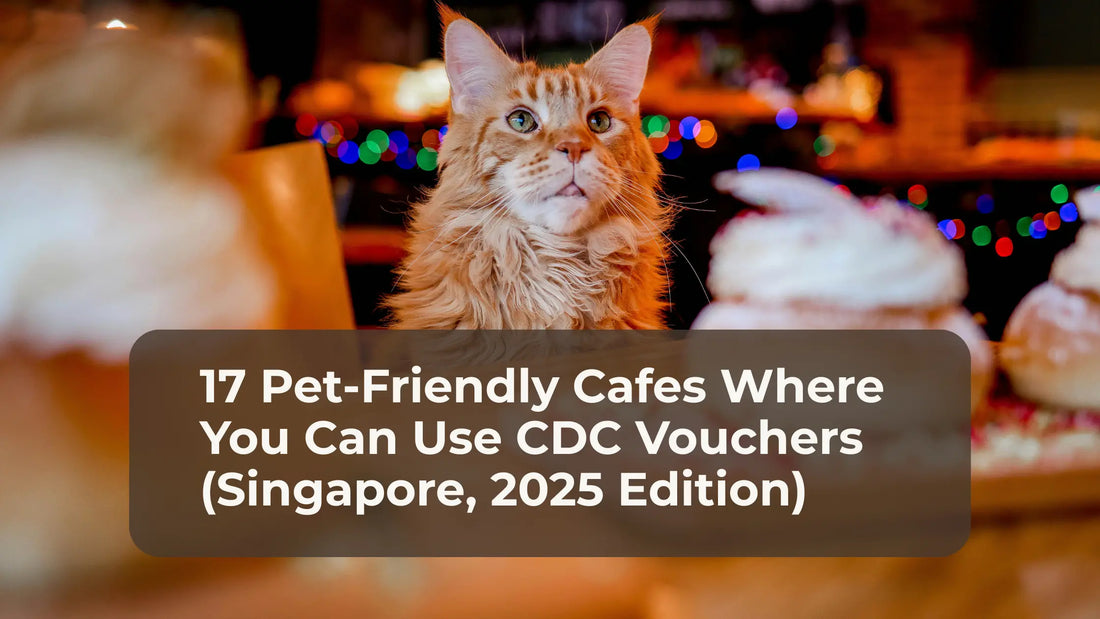 17 Pet-Friendly Cafes Where You Can Use CDC Vouchers (Singapore, 2025 Edition)