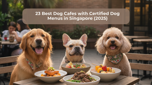 23 Best Dog Cafes with Explicit Dog Menus in Singapore (2025)