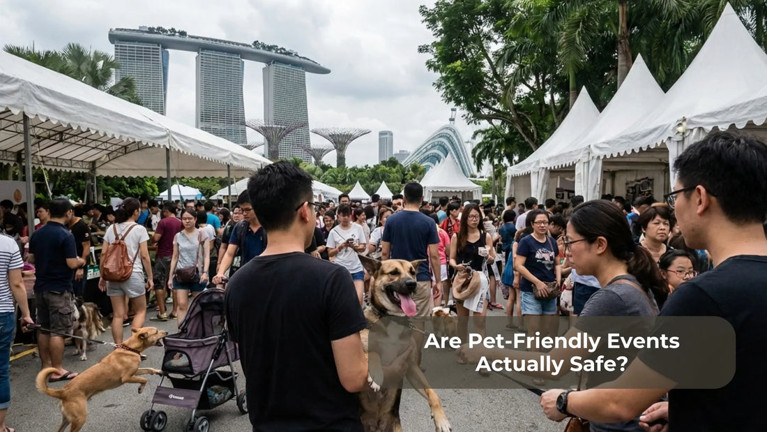 Are Pet-Friendly Events Actually Safe? A Realistic, Informed Look at Singapore
