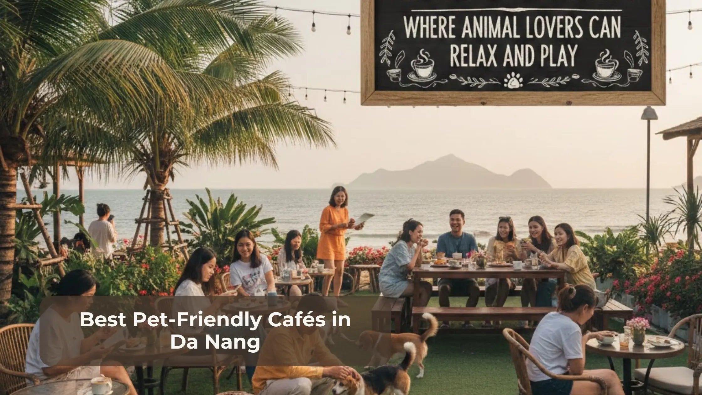 Best Pet-Friendly Cafés in Da Nang: Where Animal Lovers Can Relax and Play