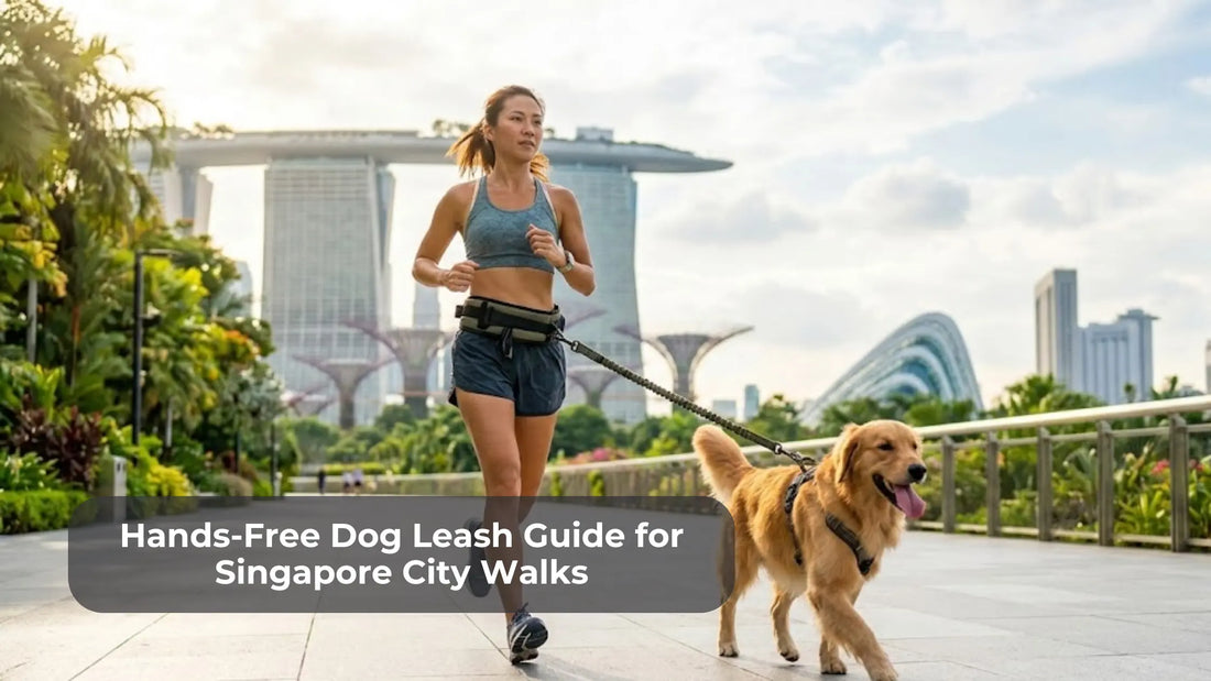 Hands-Free Dog Leash Guide for Singapore City Walks