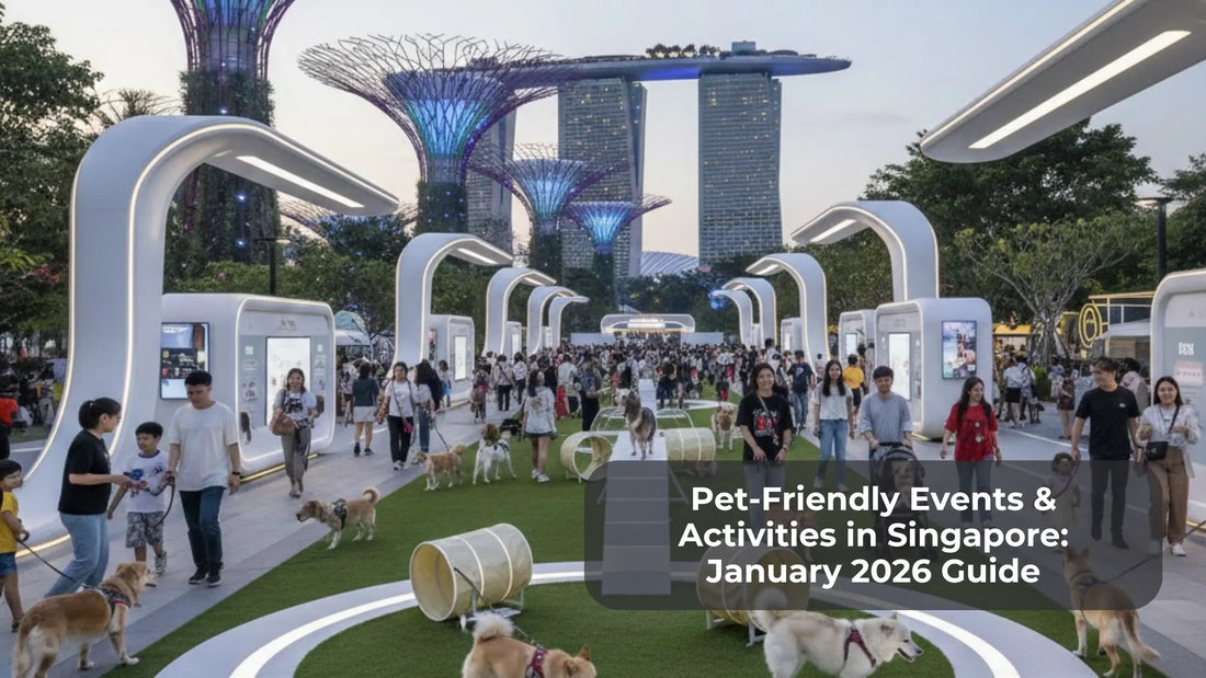 Pet-Friendly Events & Activities in Singapore: January 2026 Guide