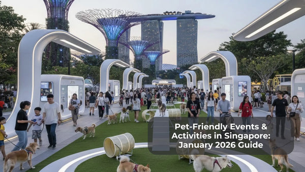 Pet-Friendly Events & Activities in Singapore: January 2026 Guide