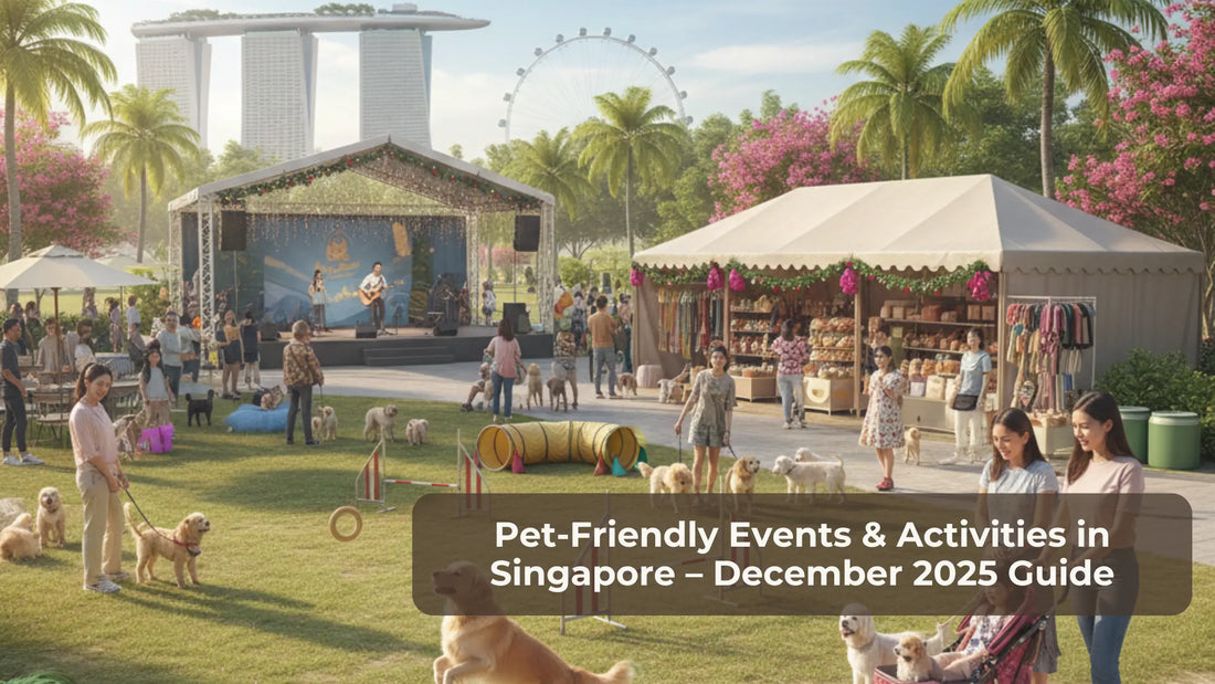 Pet-Friendly Events & Activities in Singapore – December 2025 Guide