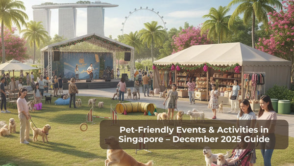 Pet-Friendly Events & Activities in Singapore – December 2025 Guide