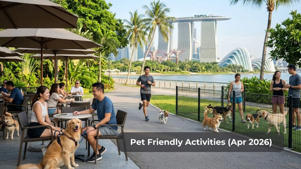 Pet-Friendly Events & Activities in Singapore — April 2026 Guide