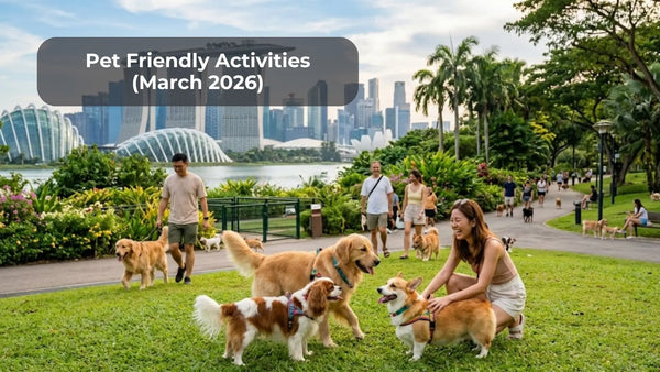 Pet Friendly Activities in Singapore — March 2026 Guide