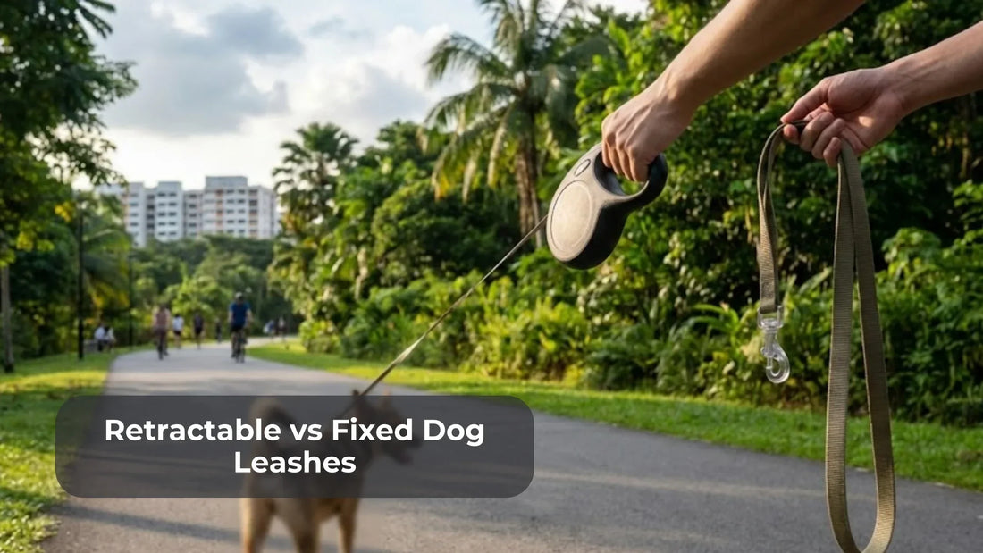 Retractable vs Fixed Dog Leash in Singapore: A Calm Guide