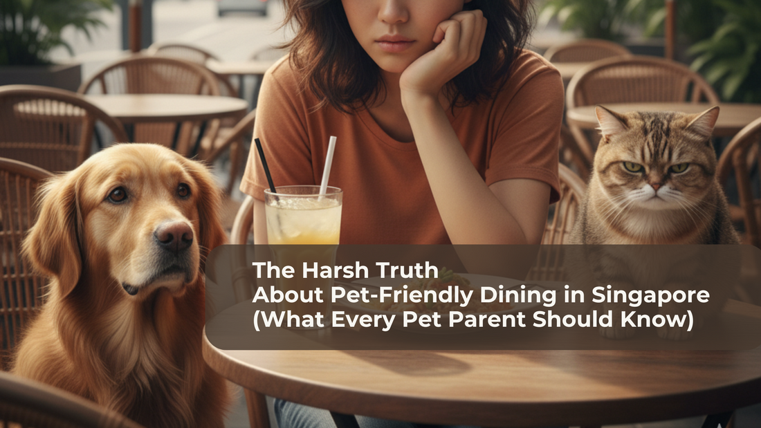 The Harsh Truth About Pet-Friendly Dining in Singapore (What Every Pet Parent Should Know)