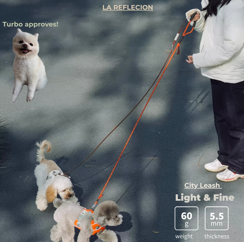 City Leash