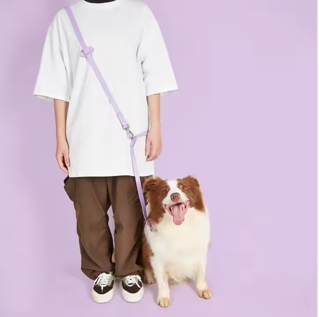 Hands Free Dog Leash 