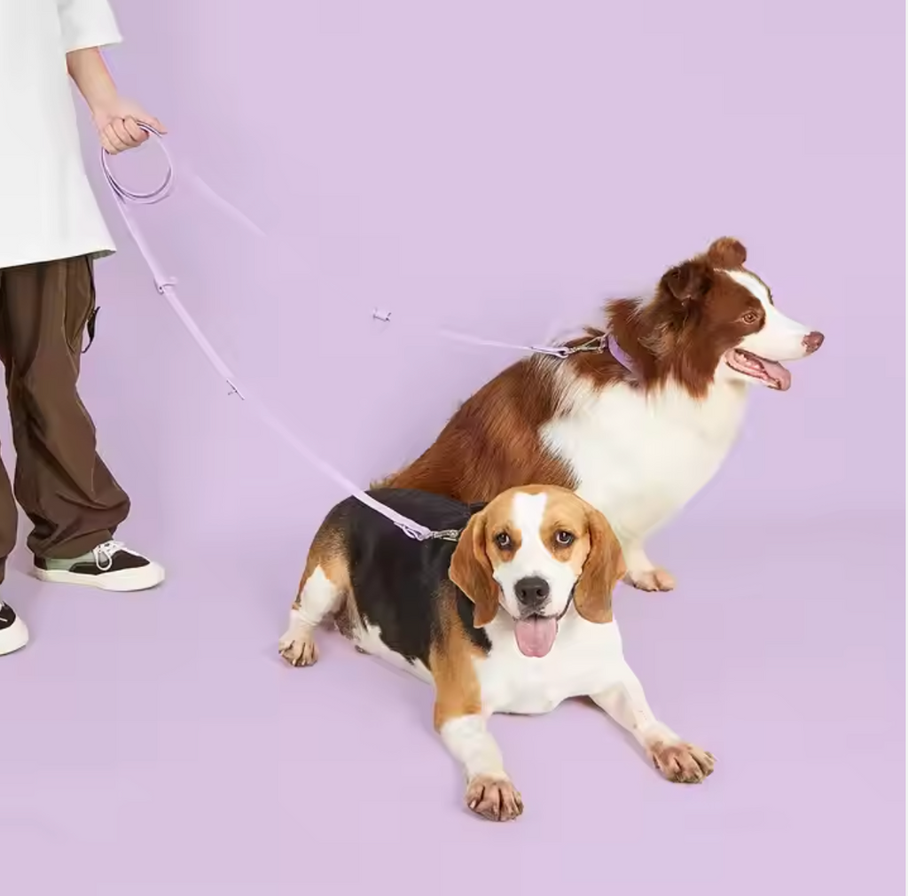 One Leash for 2 dogs